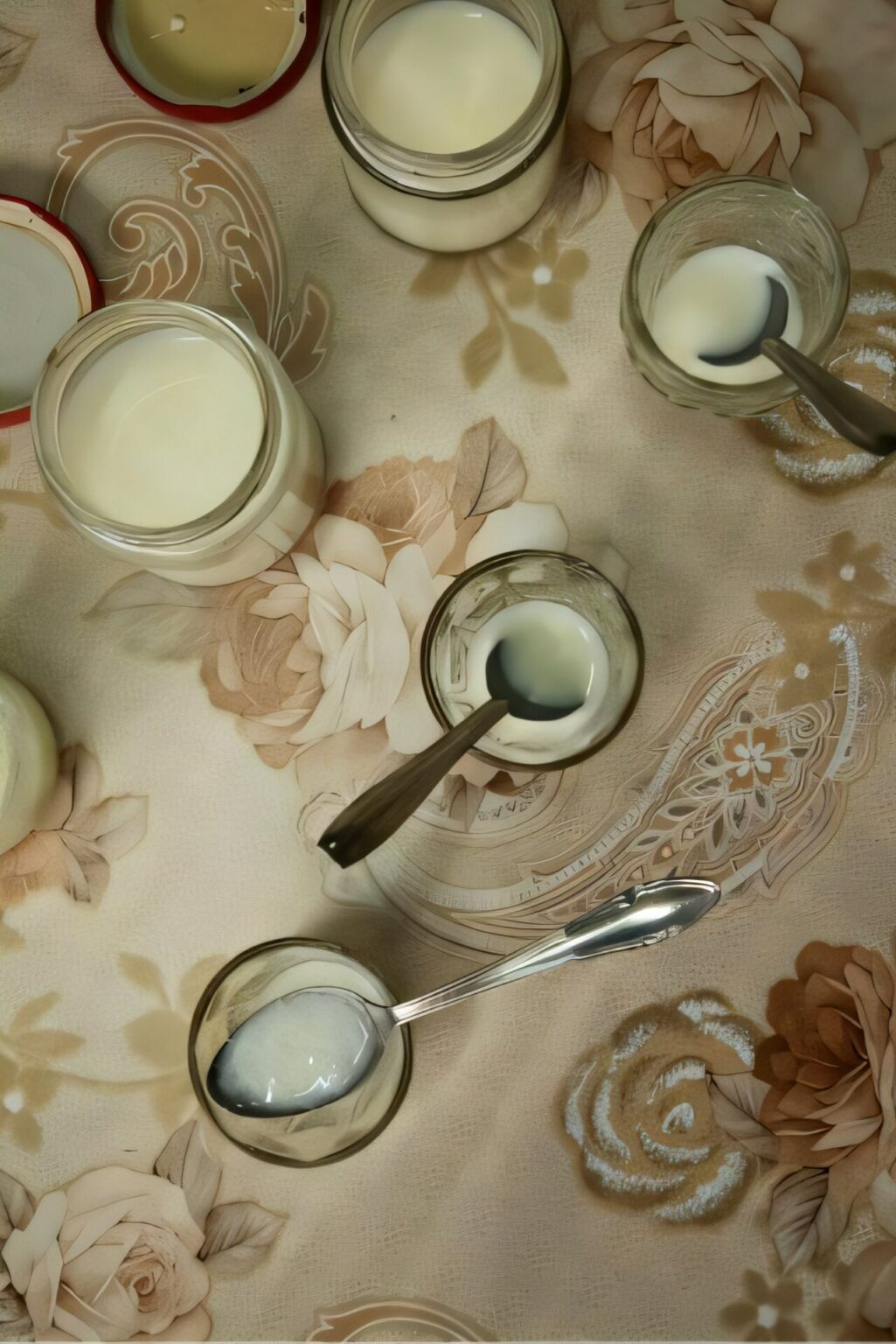 Công thức ẩm thực bị lãng quên suốt thế kỷ: Khi những con kiến biến sữa thành 'vàng trắng'- Ảnh 1. Công thức làm sữa chua từ kiến