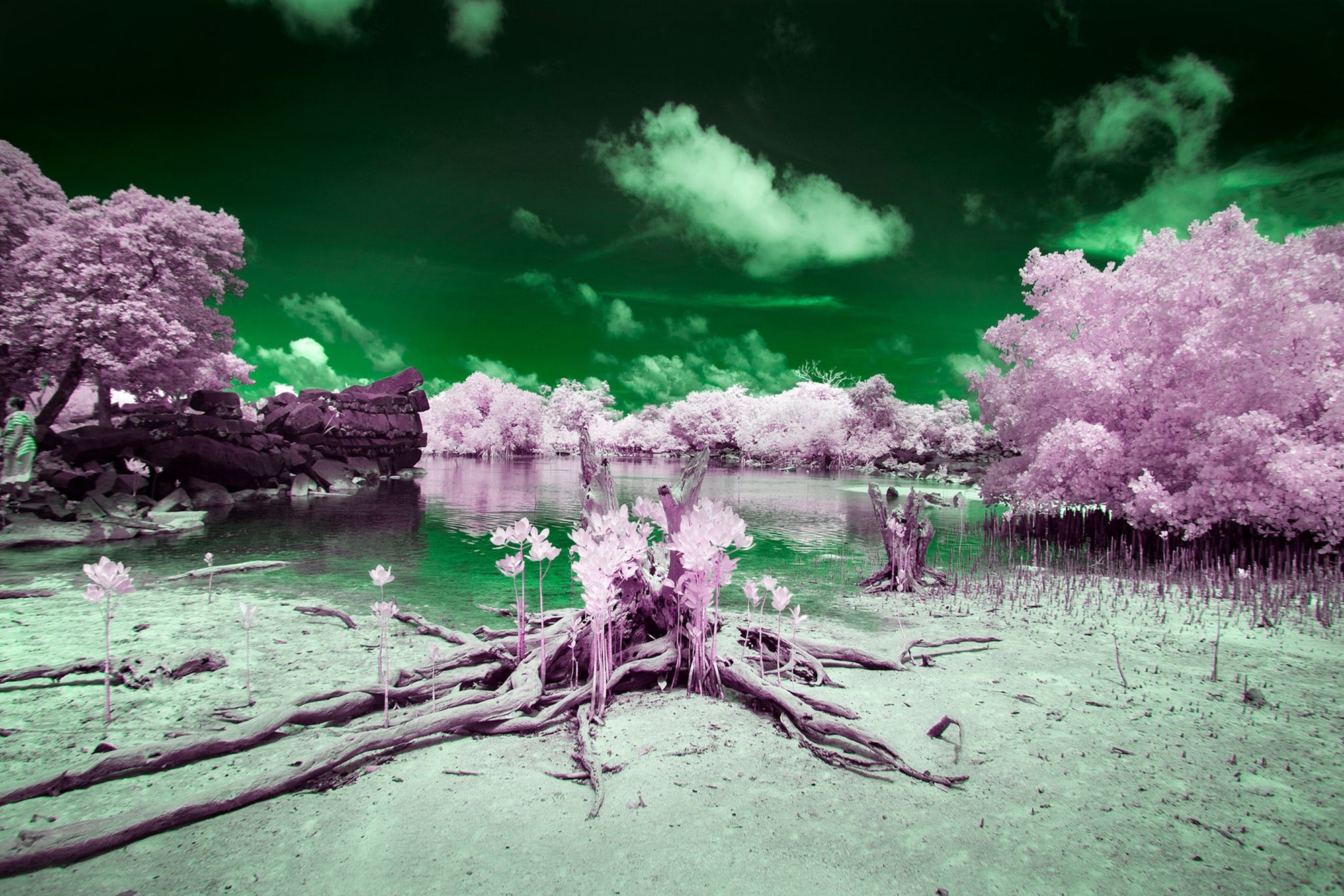 Người dân trên đảo Pingelap chủ yếu nhìn thấy hai gam màu đen trắng.